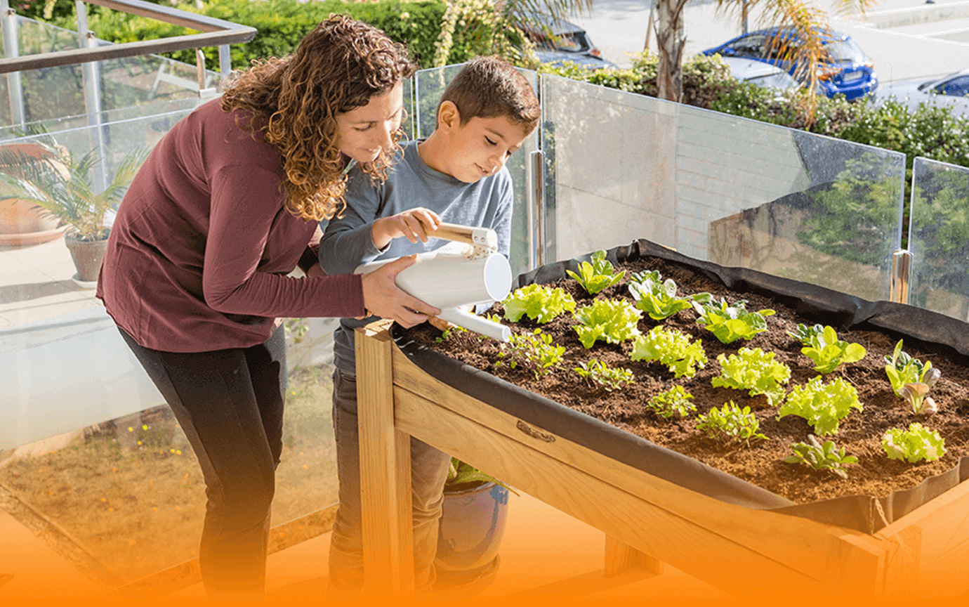 ¡Cultiva tu propia comida verde desde casa!