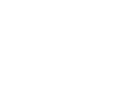 Boss Money