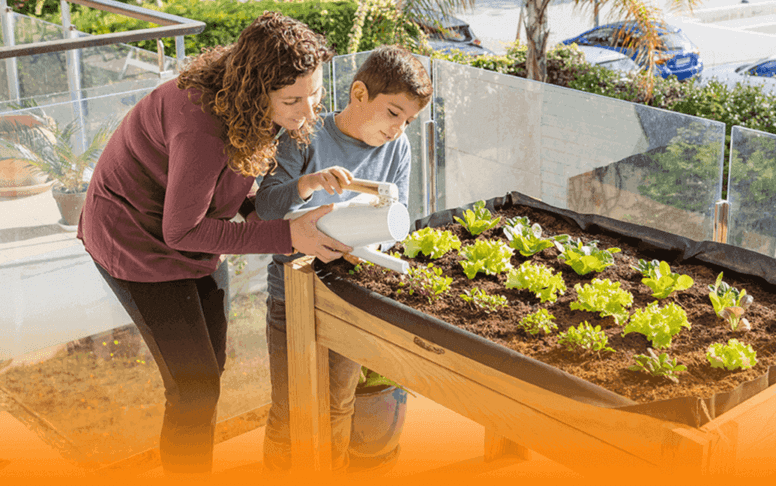 ¡Cultiva tu propia comida verde desde casa! ¡Cultiva tu propia comida verde desde casa!